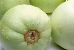 新昌吃瓜最新事件爆料是真的吗,真相揭秘还是网络谣言？